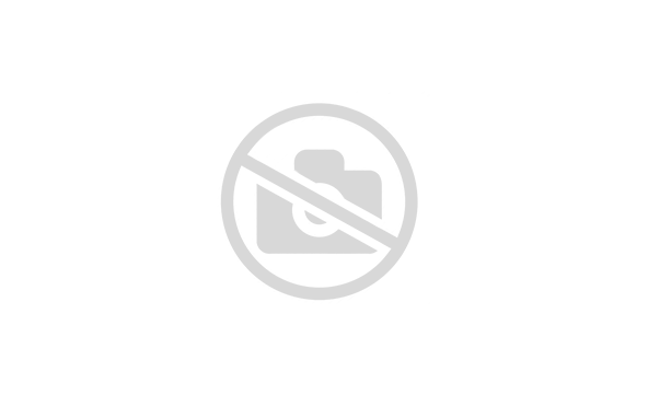 Кольцо O-Ring 540 х 6